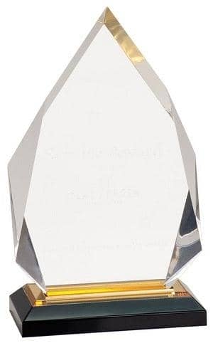 5 1/4" x 8 3/4" Engraved Gold Diamond Impress Personalized Acrylic Award - Barware Hub - Barware Swag and Etched Gifts